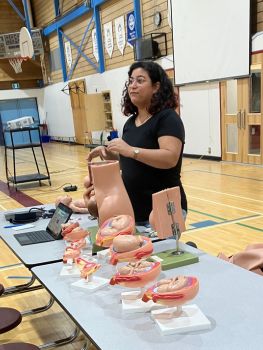 Woman showcasing simulation models of the growth of a baby inside the human body.