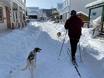 man and dog in winter 