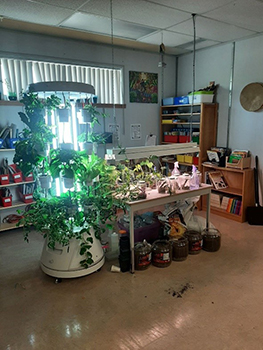 Indoor tower garden in classroom