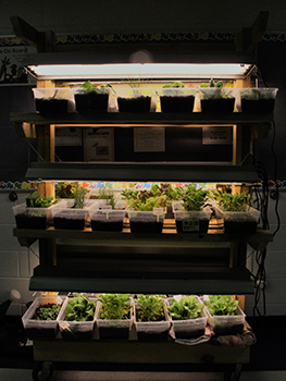 A desire for a longer growing season led the school to explore indoor growing.