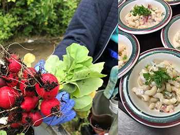 Caption: Radishes go from garden to plate at Gateway Lodge.  