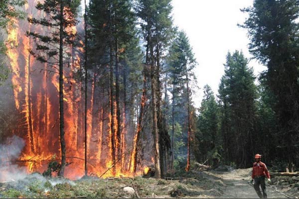 A BC Wildfire service member working at a blaze outside Williams Lake in 2017.