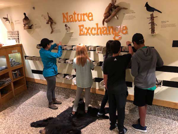 Five children examine bins at Exploration Place's Nature Exchange.