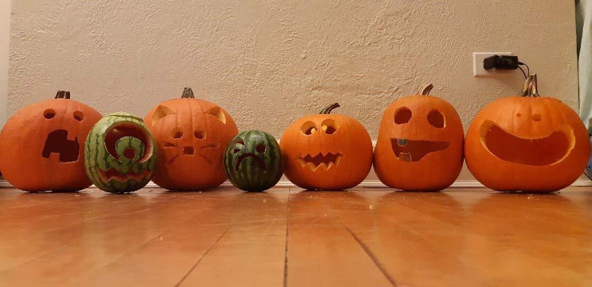 Row of carved pumpkins.