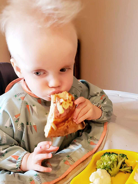 A young toddler boy sits in high chair with a plate of a various foods in front of him while he munches on a piece of Hawaiian pizza.