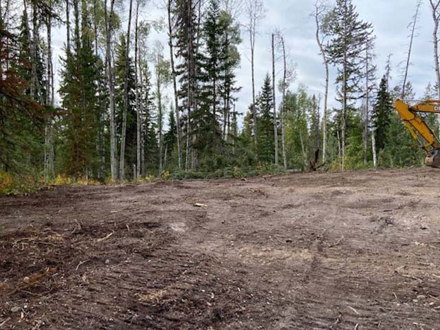 an area that has been cleared of trees. the ground is dark brown with