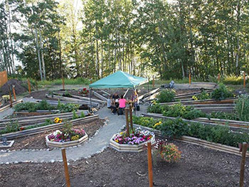 Community garden