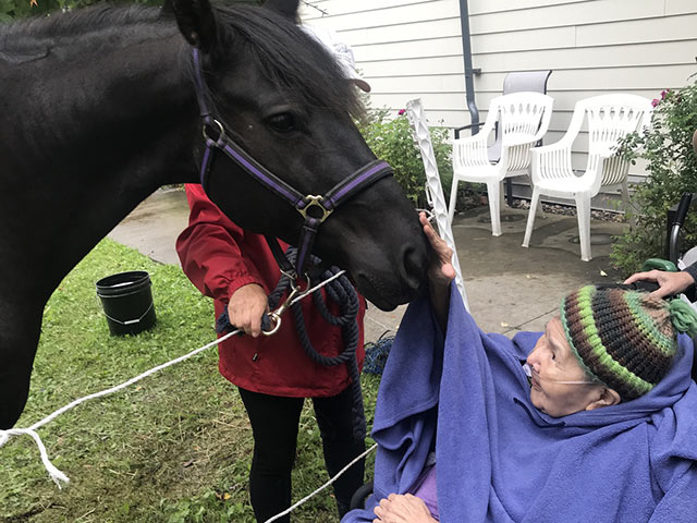 Elderly woman in a wheelchair petting a horse