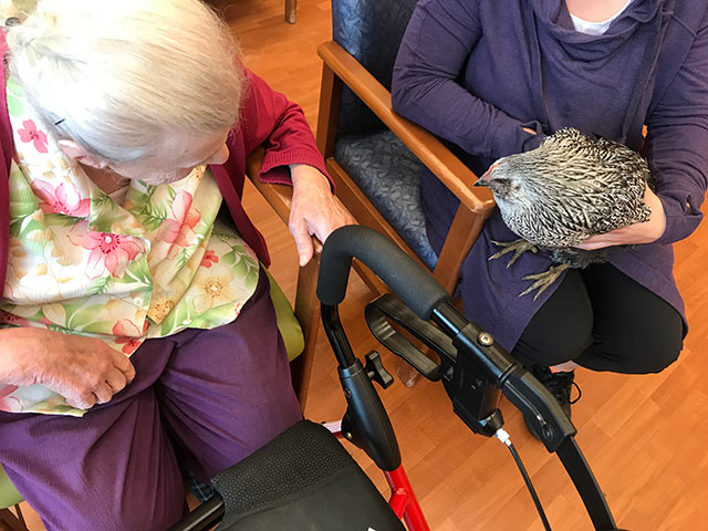 Elderly women holding a feathered friend