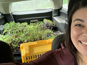 Woman in vehicle showing plant seedlings in the back seat