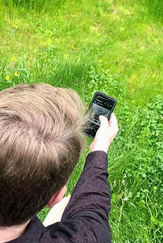 Person with short hair looking down at their mobile phone.