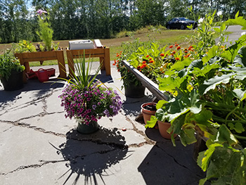Raised garden beds in long-term care