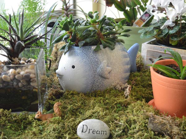 Succulents and other plants grow in a pots in an indoor garden.