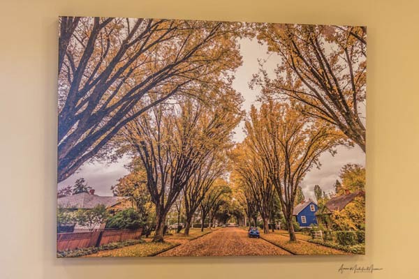 A picture of a Prince George street in the fall hangs on a wall.