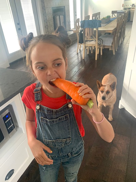 A young girl stands in a kitchen, biting the end of a large carrot, while a red heeler dog stands behind her.