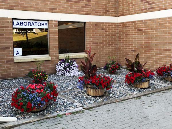 Wood barrel planters filled with blooming flowers outside in a corner of a hospital building