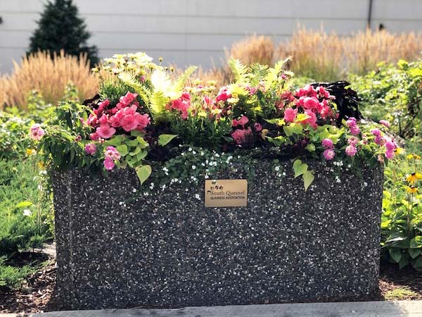 A concrete aggregated flower box filled with blooming flowers