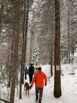 A group of friends walking through the forest, in the snow
