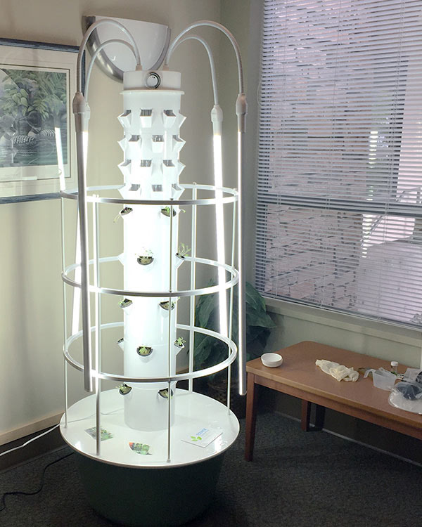 A hydroponics tower is located in a corner. It has several young plants growing in it.
