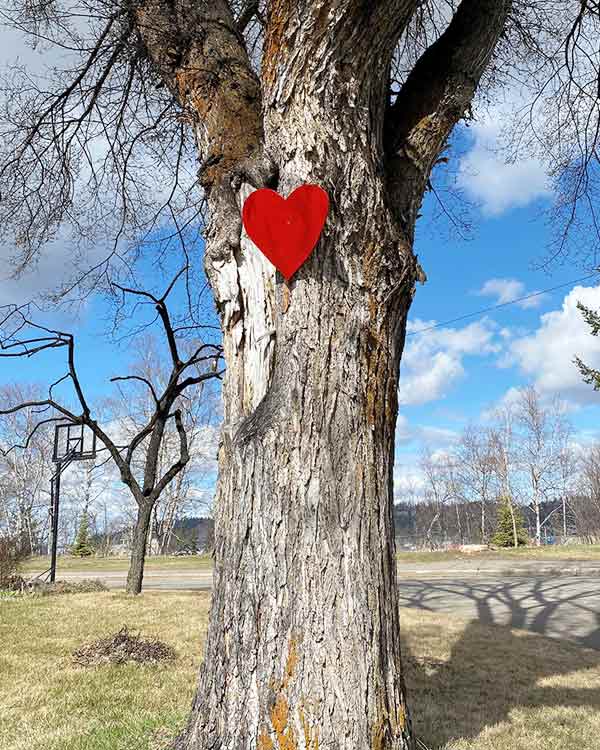 A red paper heart hangs on a tree trunk. 