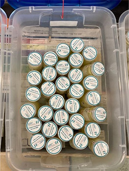 jars of donated breastmilk 