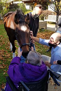 two people with outstreatched arms petting a horse