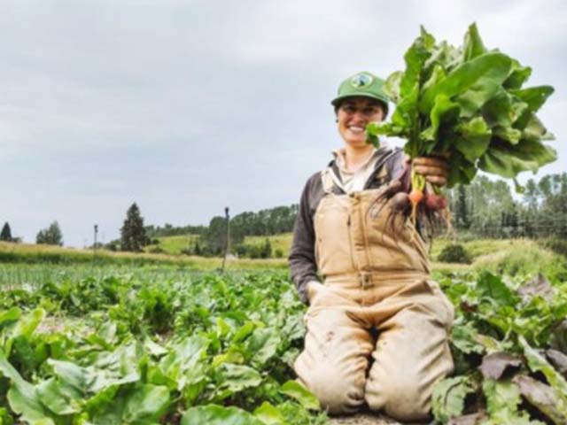 a woman wearing beige overalls crouches in a green filed holding bunch of lettuce