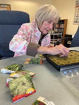 Older woman plants seeds while sitting at a table