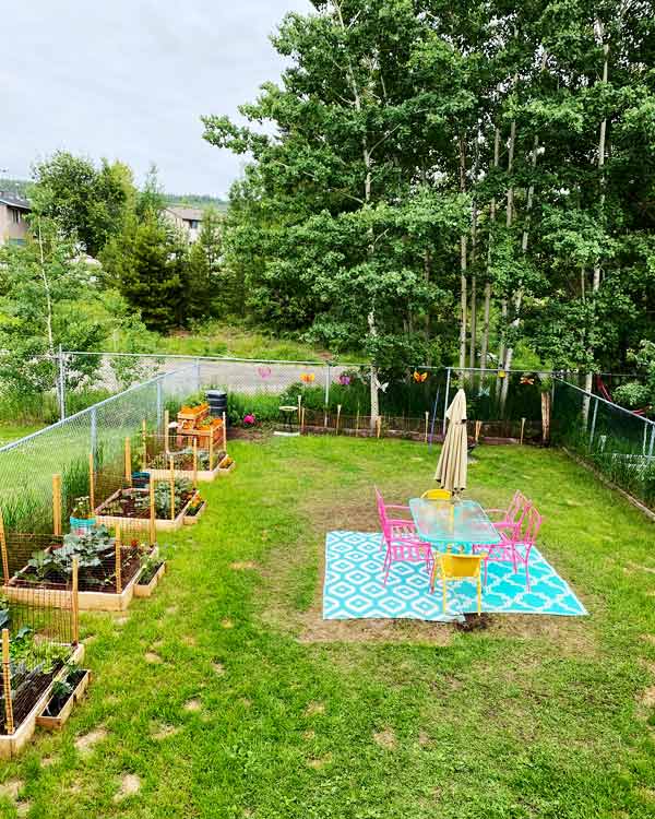 A backyard has planter boxes along the left and back fences and a dining area in the middle. The bright blue dining table is on a blue outdoor area rug with pink and yellow chairs. 