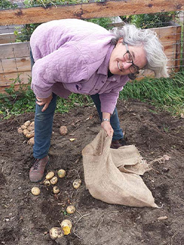 Woman bagging potatoes