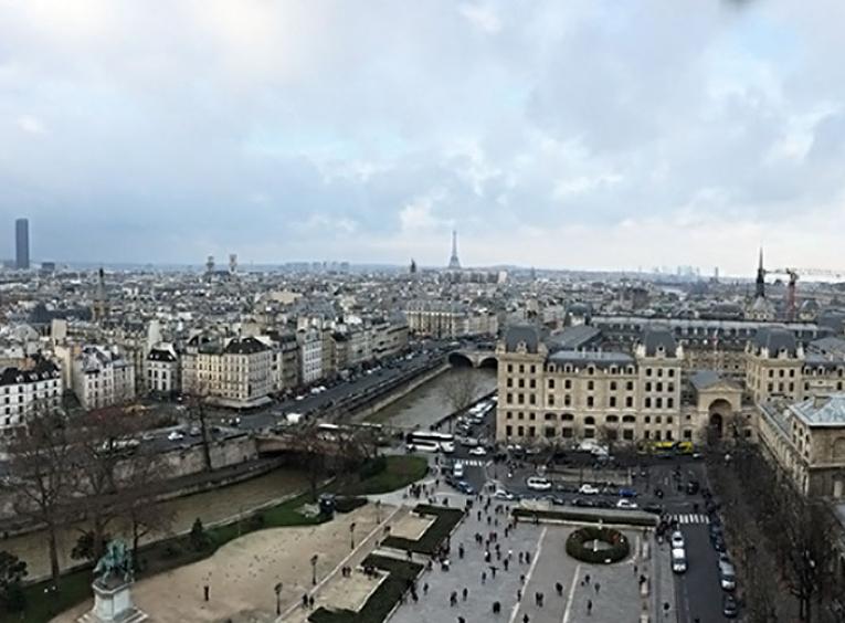 View of city of Paris from Notre-Dame.
