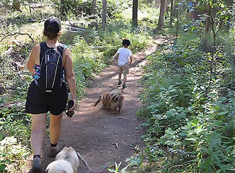 Mother and child walking on forest trail with two small dogs.