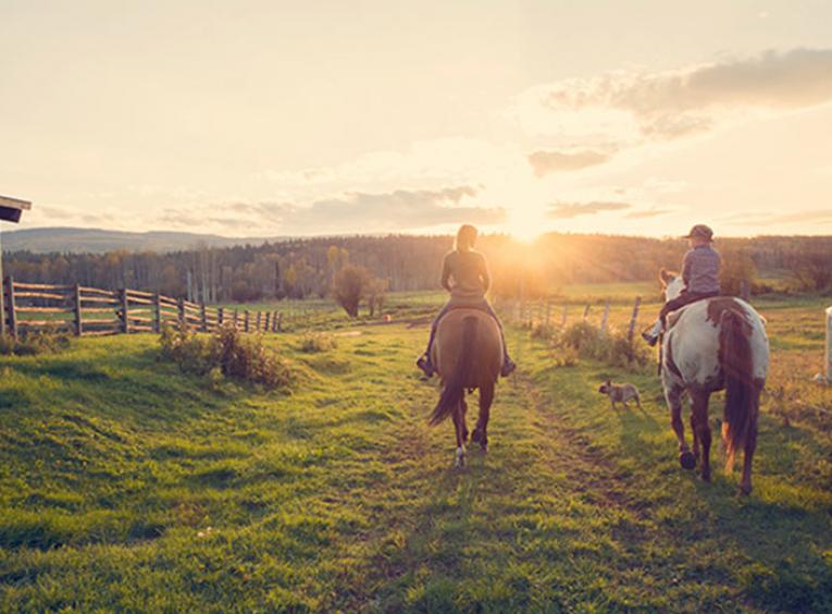 Mother and son riding horses on farm road into the sunset.