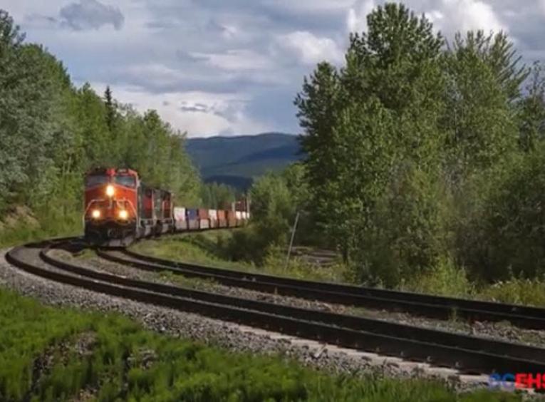 CN train with forest surroundings.