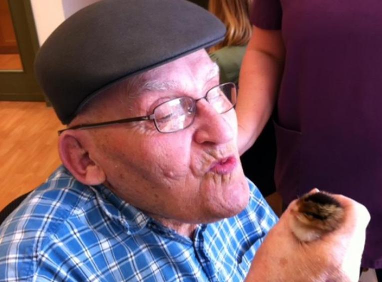 Elderly man holding a young chick in his hand,