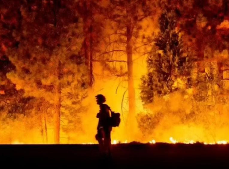 Fire fighter walking by forest fire.