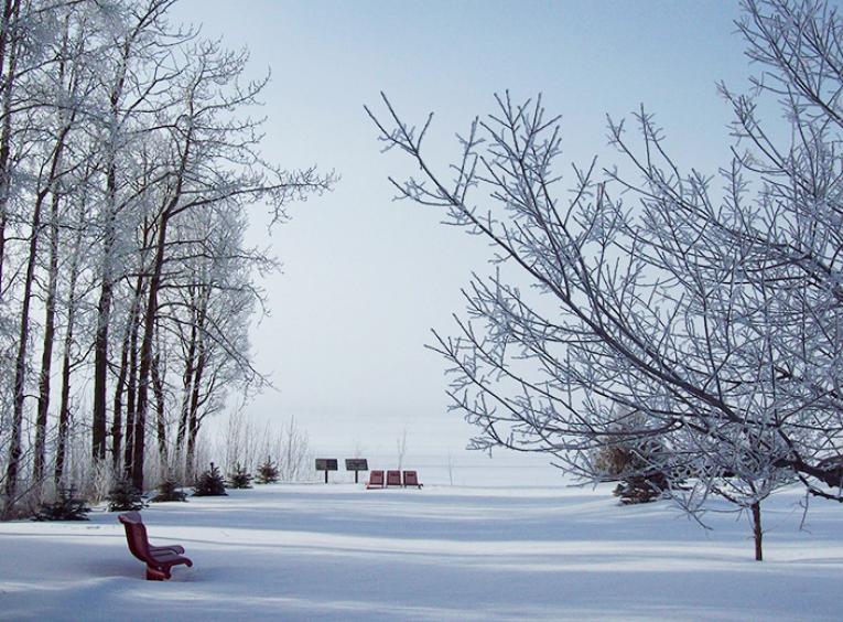 A snowy area, surrounded by trees, leading to a frozen, snow covered lake.