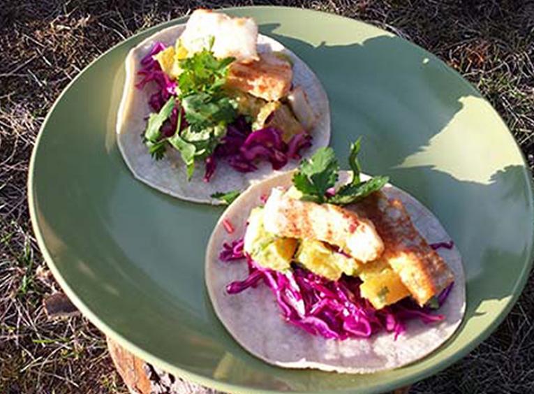 Fish tacos on a green plate in the sunshine