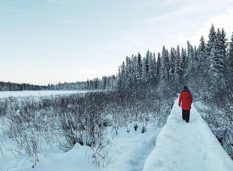 person in red jacket walks on snow covered path