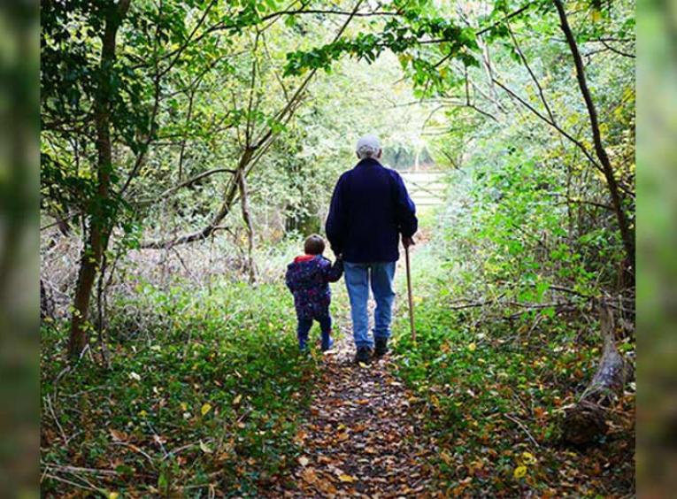 Grandfather walking with grandchild on a forest path
