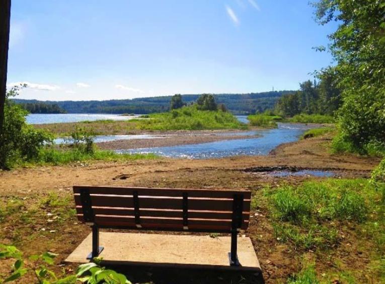 picture of a bench overlooking the river on a sunny day