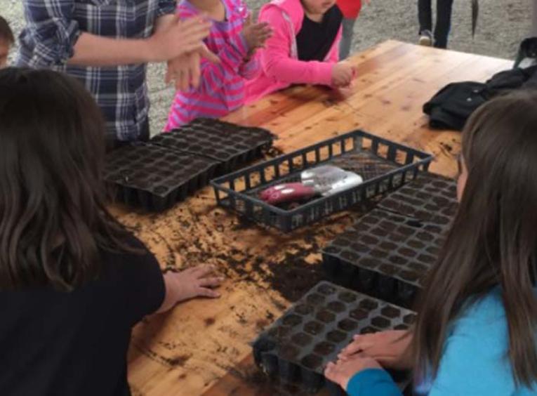 children stand around a table with seeding trays and dirt in front of them