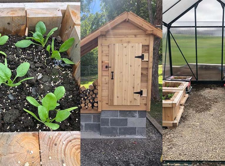 Seedlings, a wooden building and a greenhouse