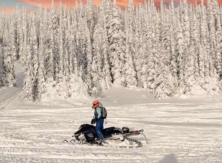Snowmobile rider on snowy ground with trees