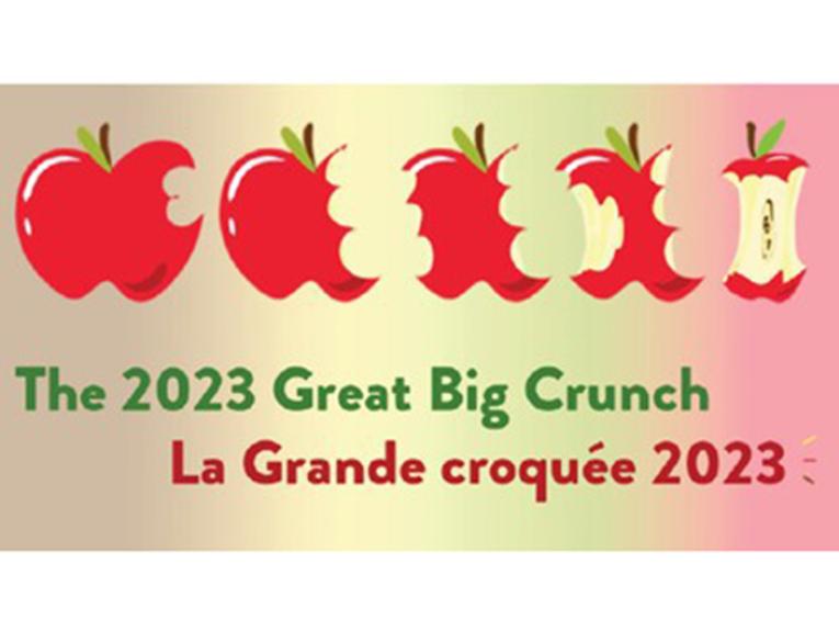 The 2023 Great Big Crunch