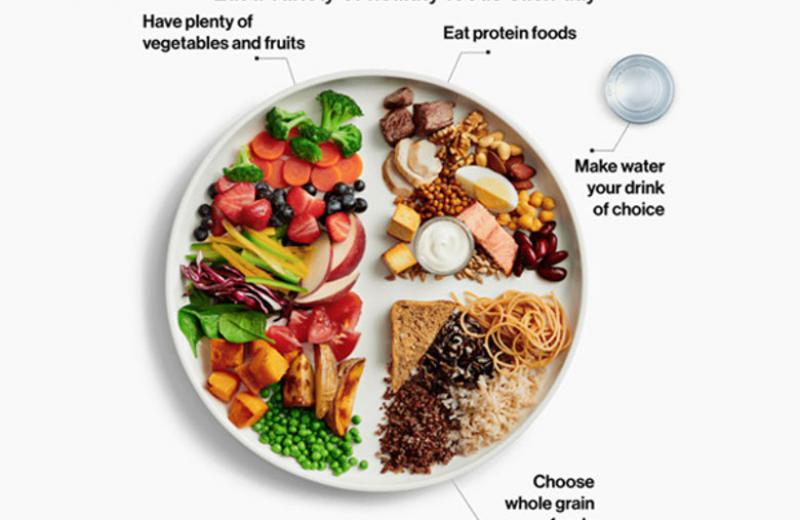 An image of the updated "healthy plate" from the new Canada's Food Guide.