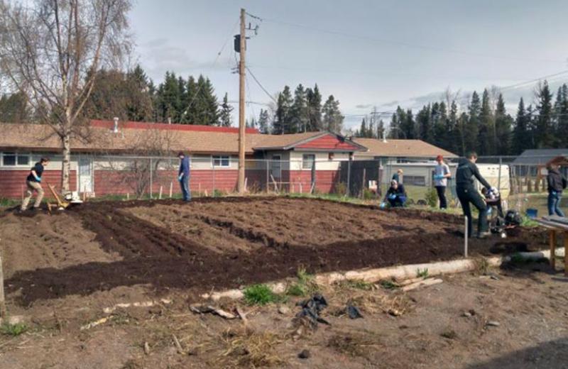 Northern Table Farm To School Blossoms In The Northwest Stories Northern Table Farm To School Blossoms In The Northwest Stories