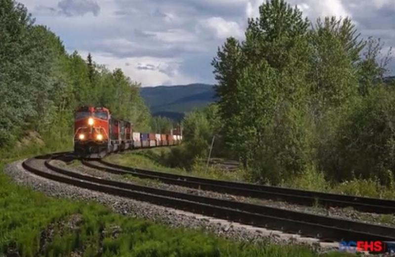 CN train with forest surroundings.