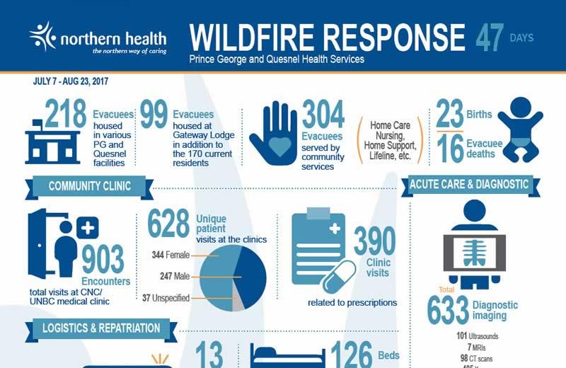 Fire Infographic Stories