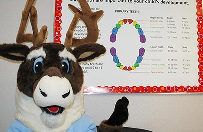 Spirit the caribou mascot in front of baby teeth poster